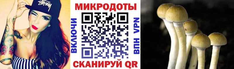Псилоцибиновые грибы GOLDEN TEACHER  Славянск-на-Кубани 